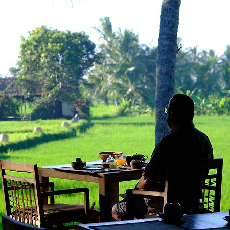 Mathis Retreat Ubud Exteriér fotografie