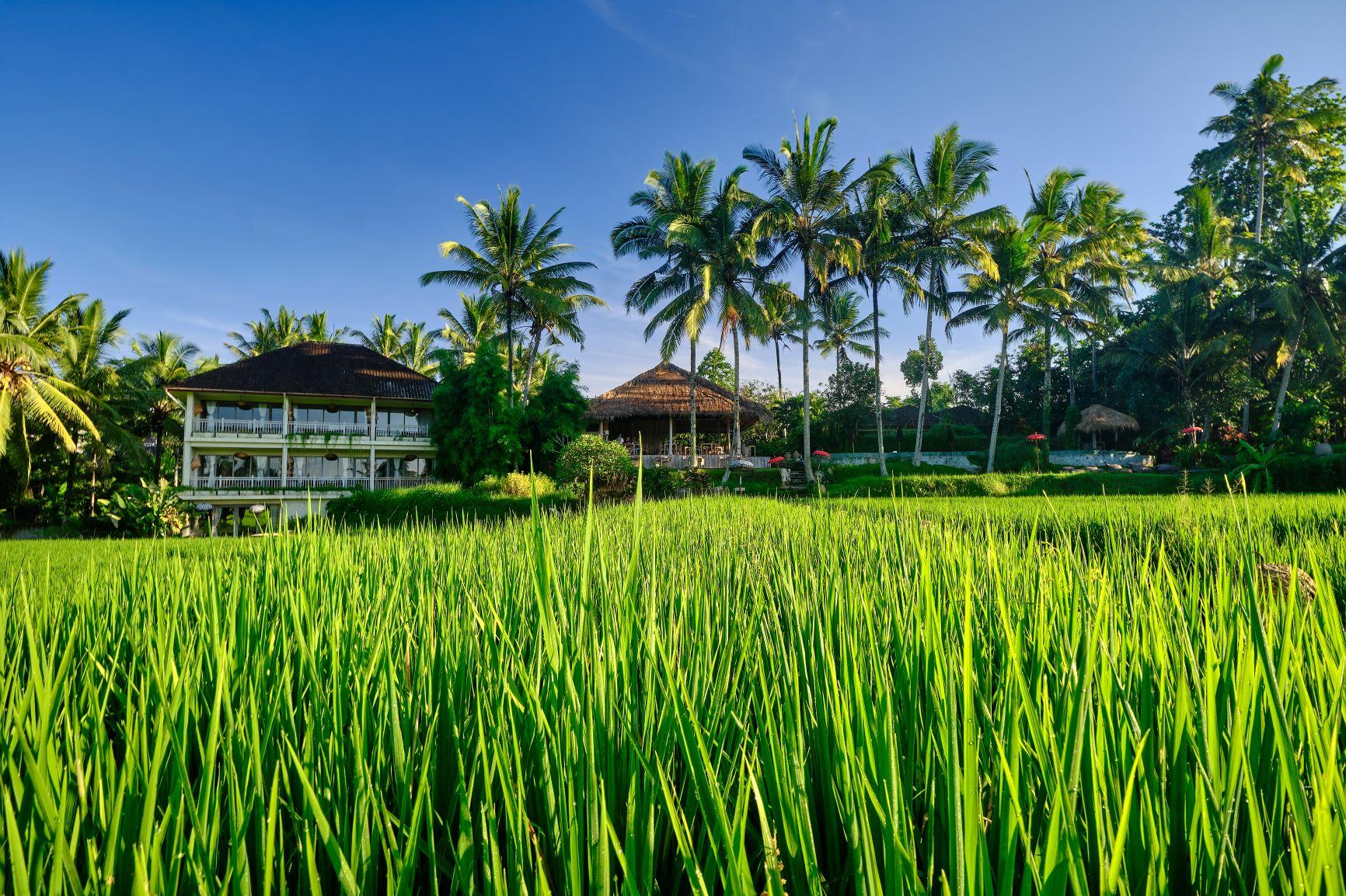 Mathis Retreat Ubud Exteriér fotografie