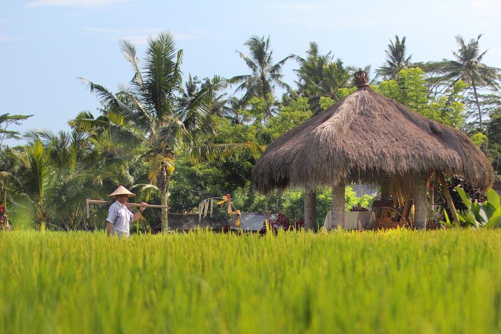 Mathis Retreat Ubud Exteriér fotografie