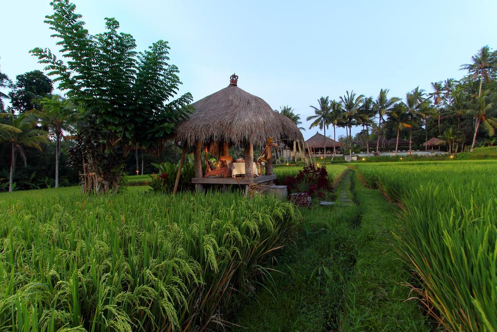 Mathis Retreat Ubud Exteriér fotografie